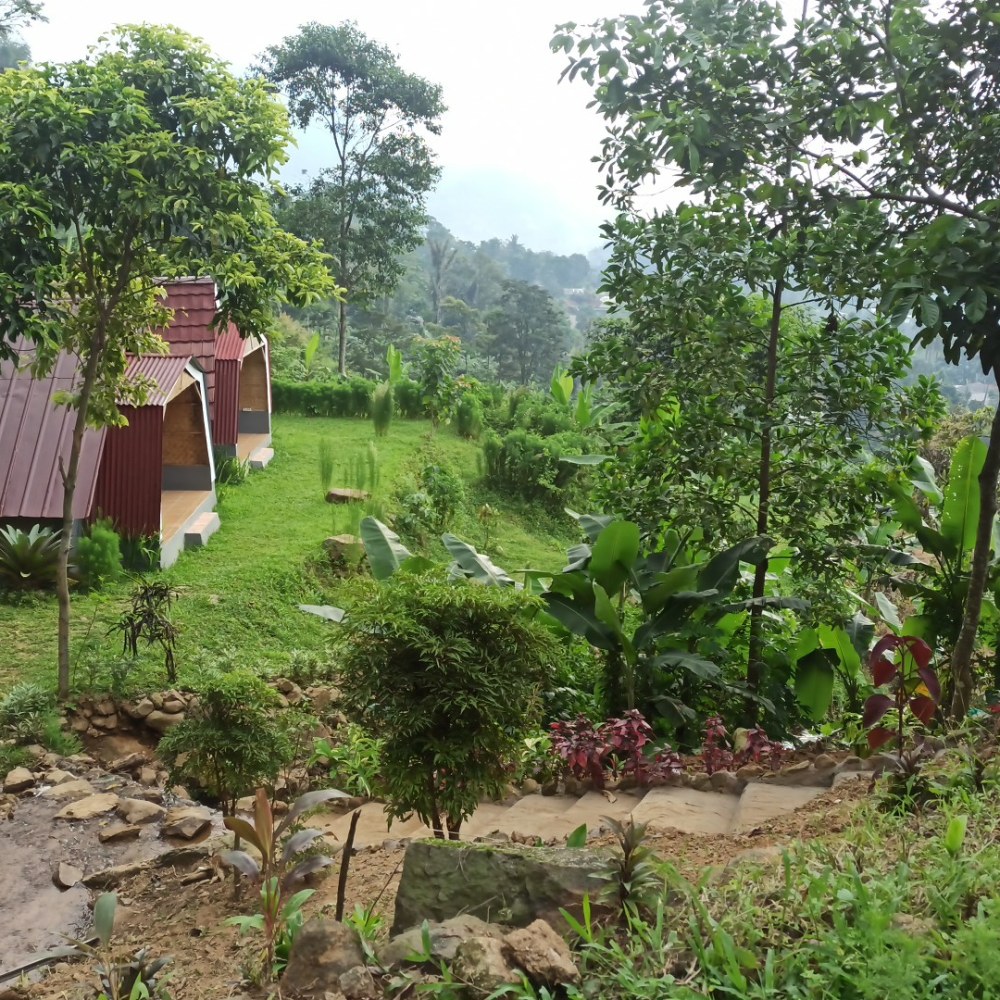 CURUG ROSO MULYO