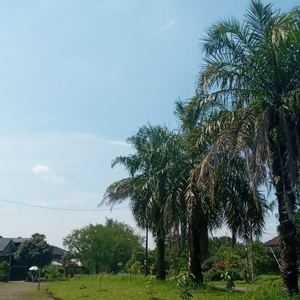 Taman Sawit Blok D
