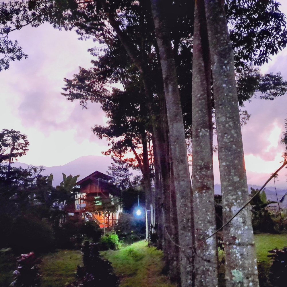 Villa Lavender