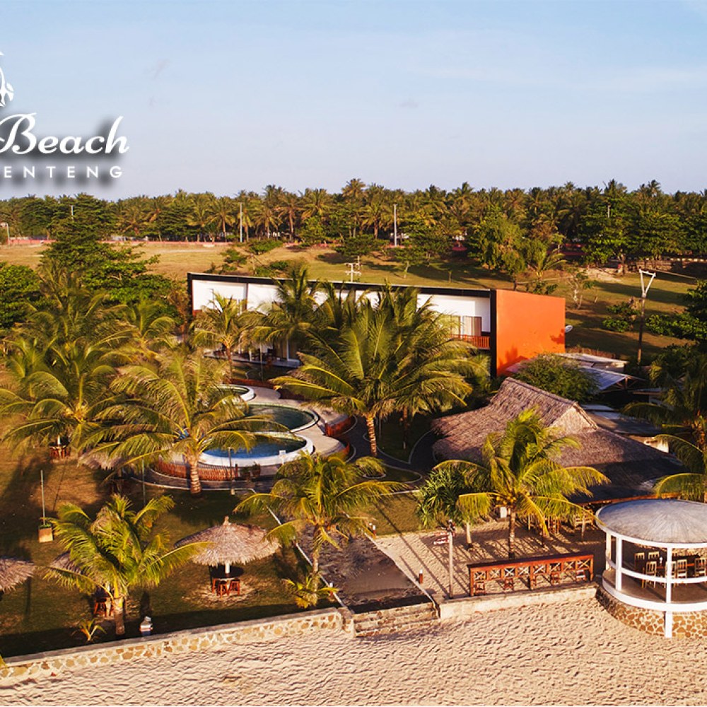 Turtle Beach Hotel