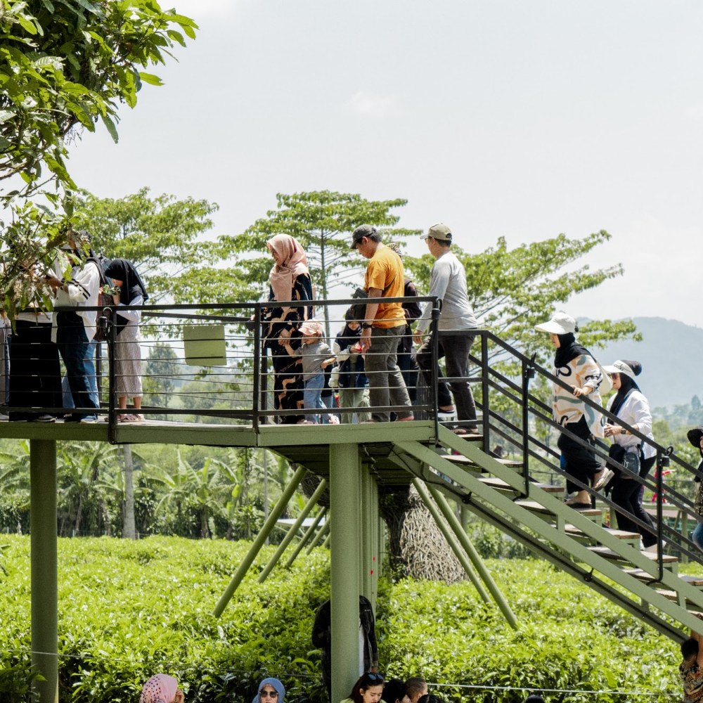 Goalpara Tea Park