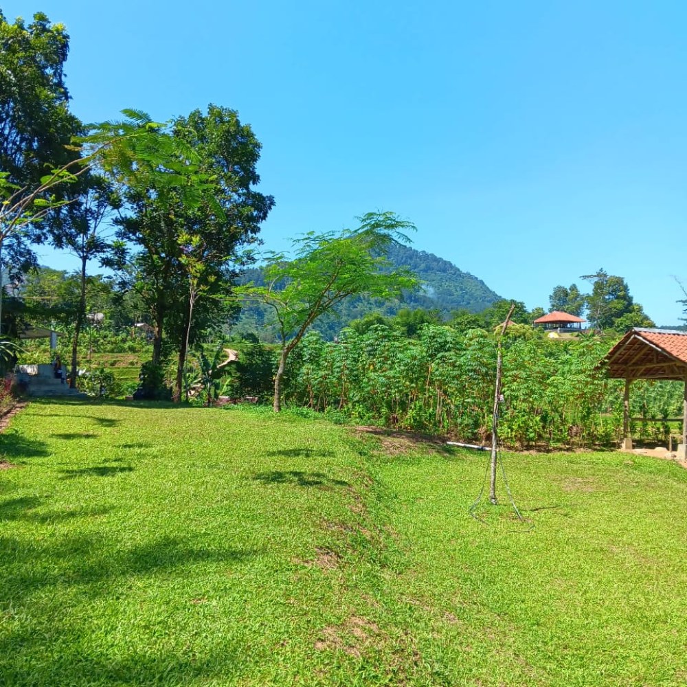 Hutan Hujan Sentul