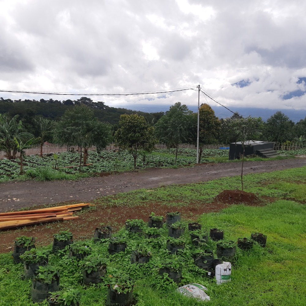 Wisata Taman Kita