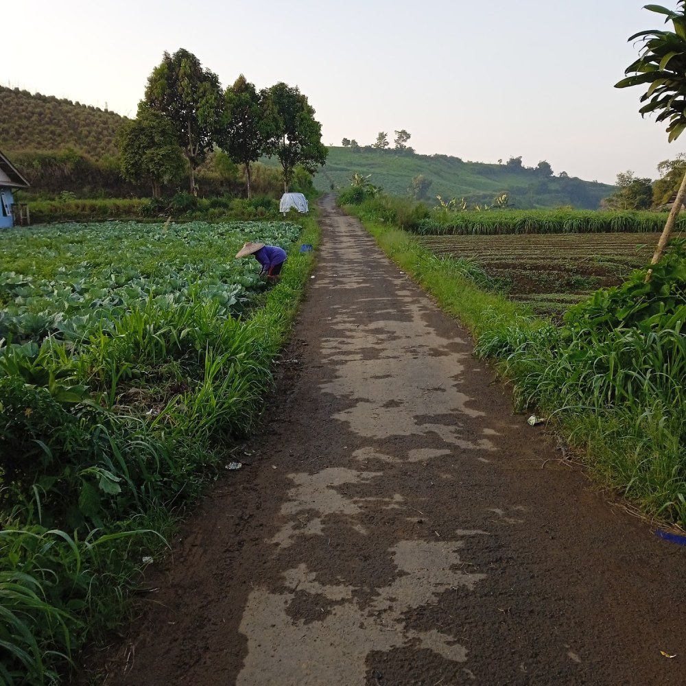 Pasir datar indah