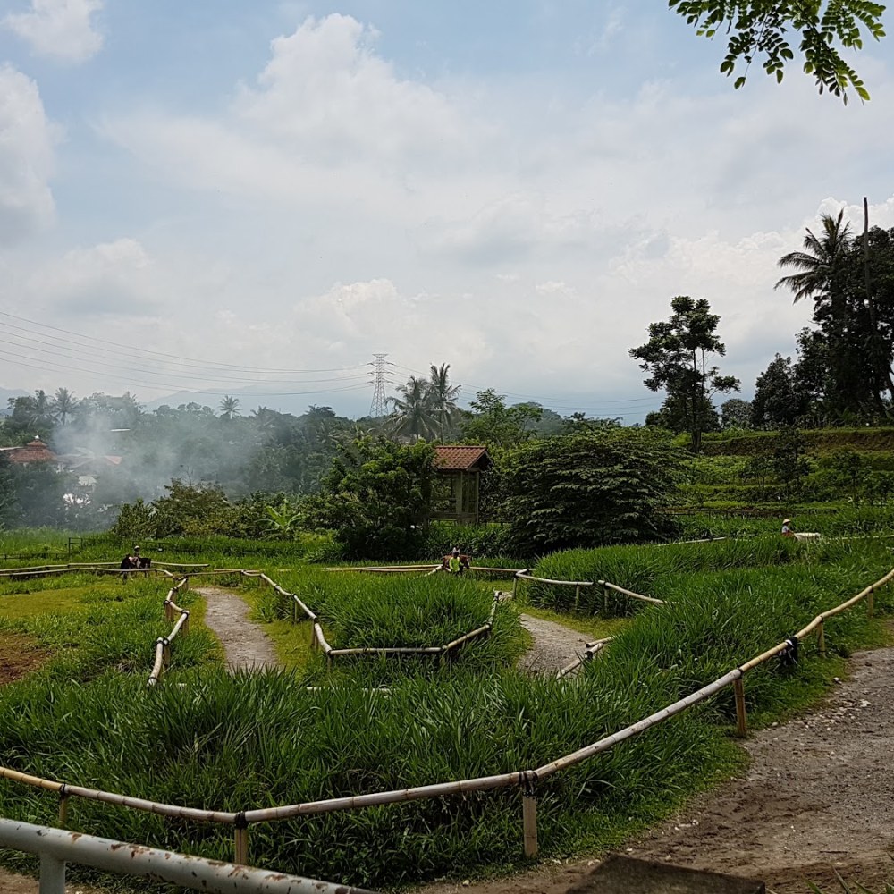 Kuntum Farmfield