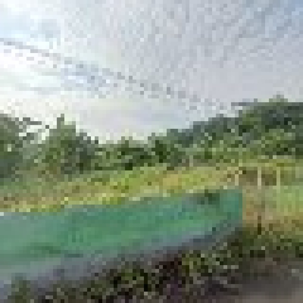 Agrowisata Situ Dahamilnuris