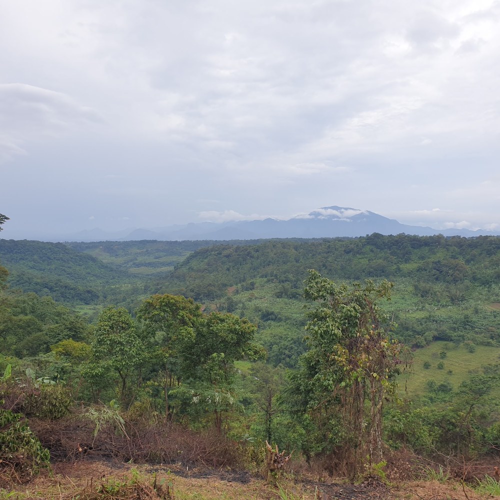 Kavling agrowisata cijurey asri