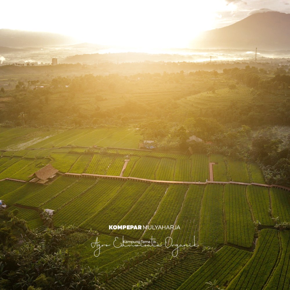 Agro Eduwisata Organik Mulyaharja