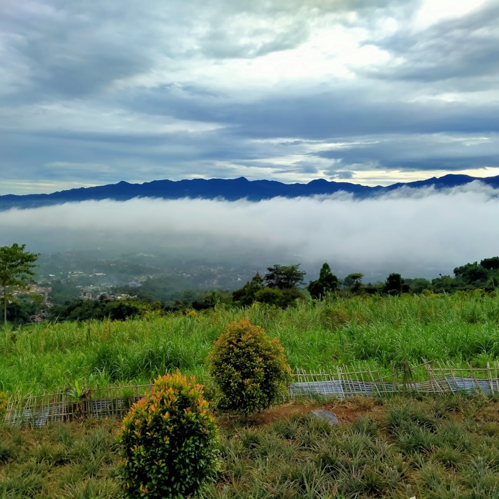 KEBON ABAH