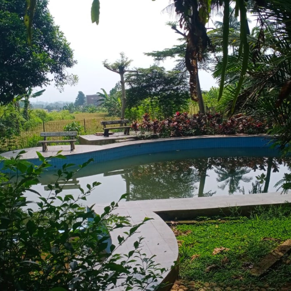 Wisata situ udik