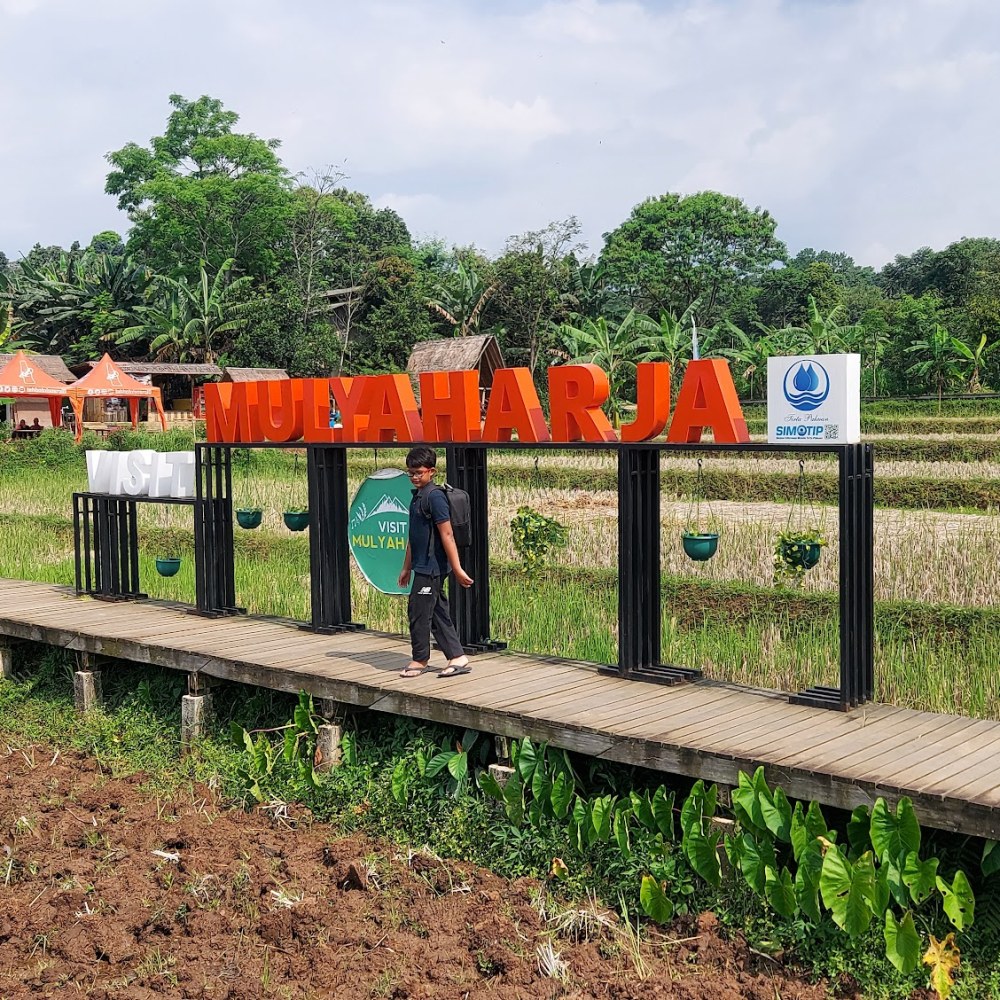 Wisata persawahan mulyaharja