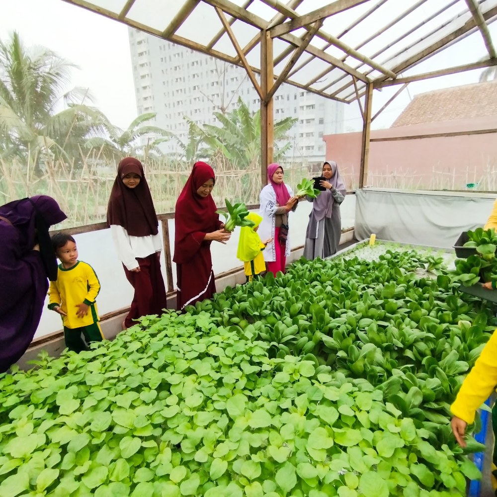 Kuncup Farm Hidroponik Edu-Wisata dan Smart Farming