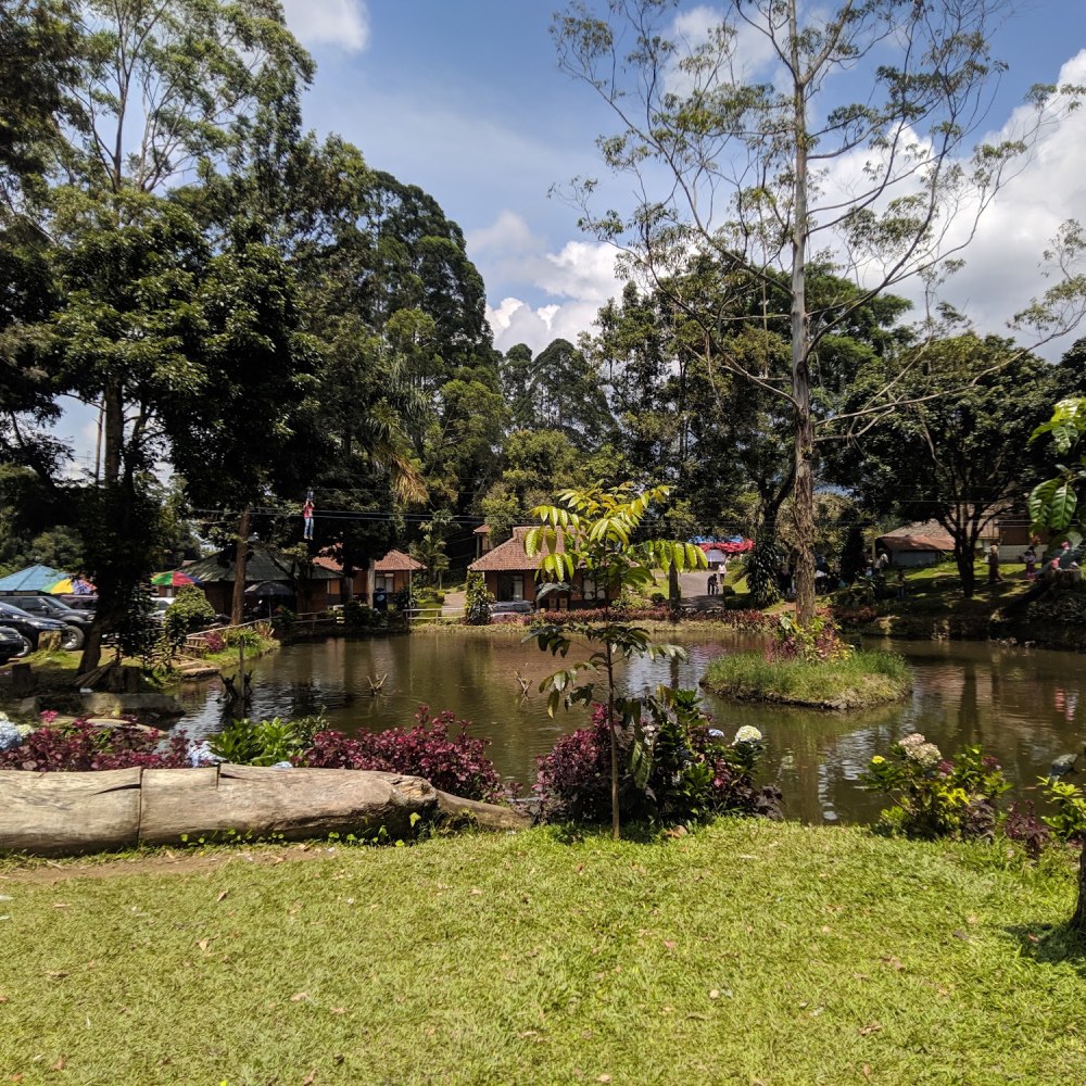 Tea Gunung Mas