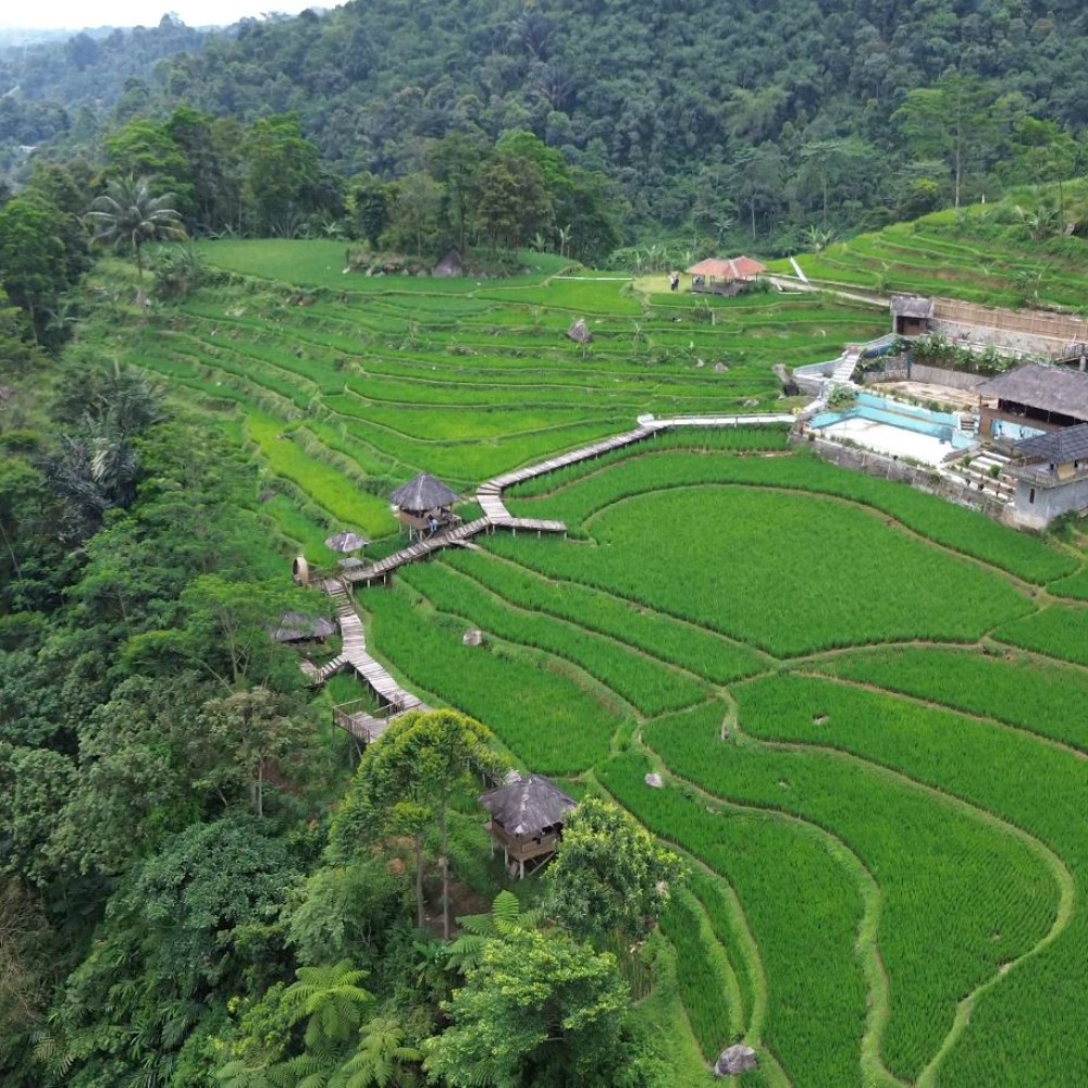 Kedai Terasering Cisalada