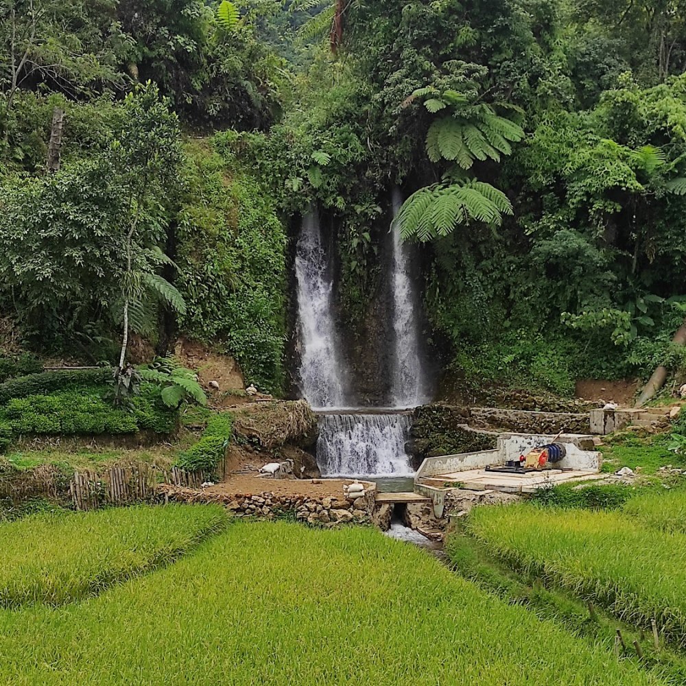 Kampung Wisata Cibuluh Desa Kiarasari