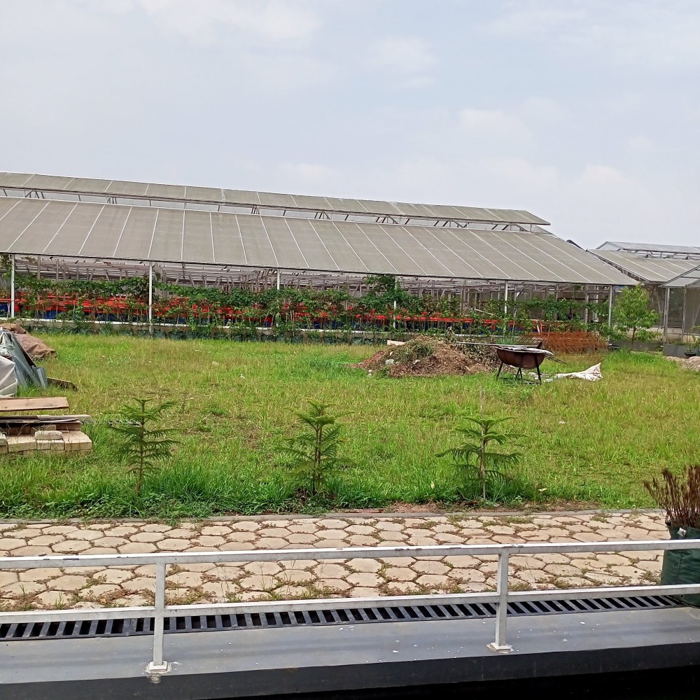 Anggola Garden