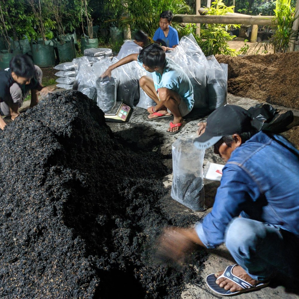 NUSAGROW FARM (Nursery Tanaman Buah, Media Tanam, Pelatihan Pertanian)