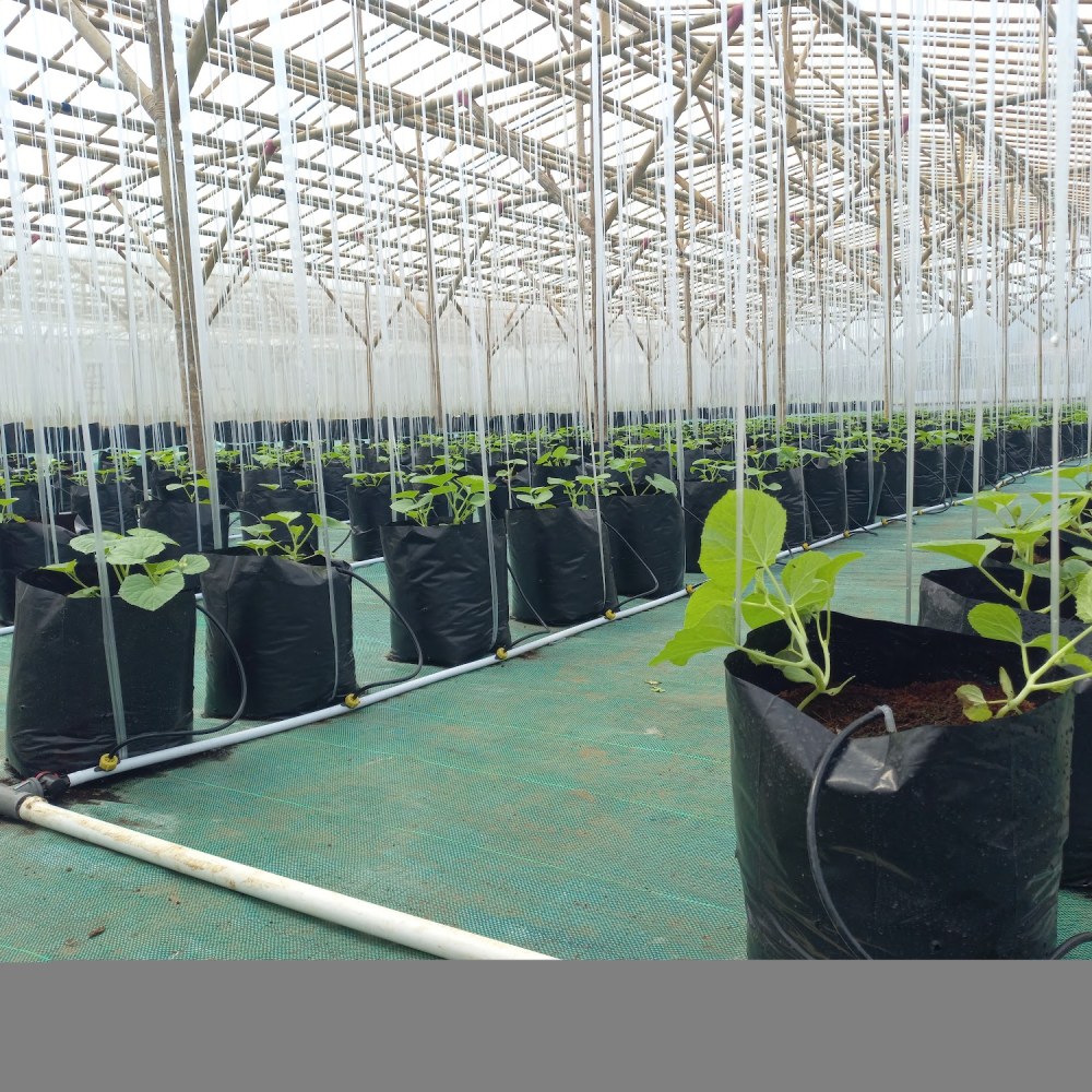 Agrowisata Paledang Agriculture