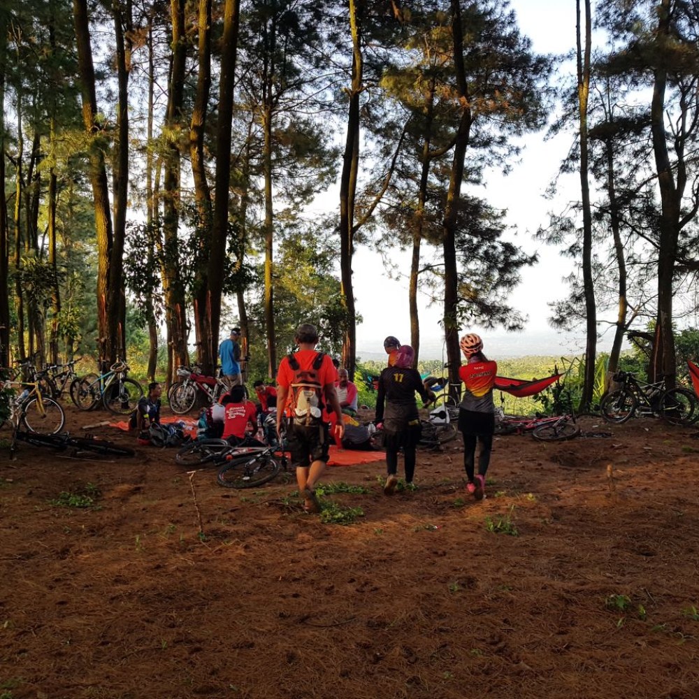 Curug Ciampea