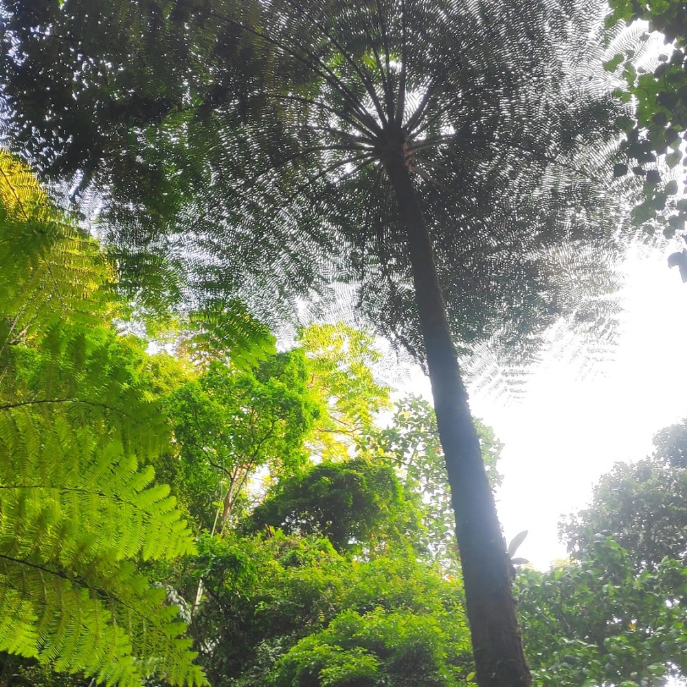Wisata Alam Curug Nangka