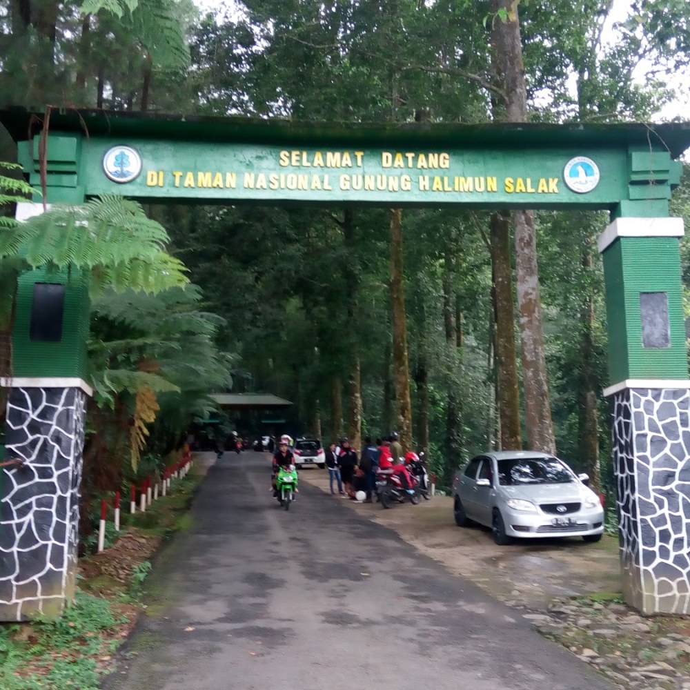 Taman Nasional Gunung Halimun Salak