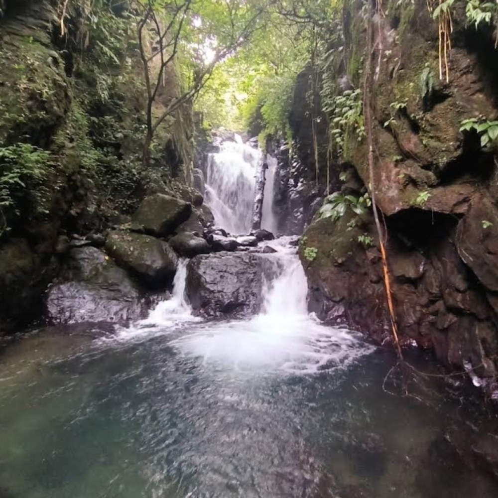 Curug Anak Cai Cileungsi