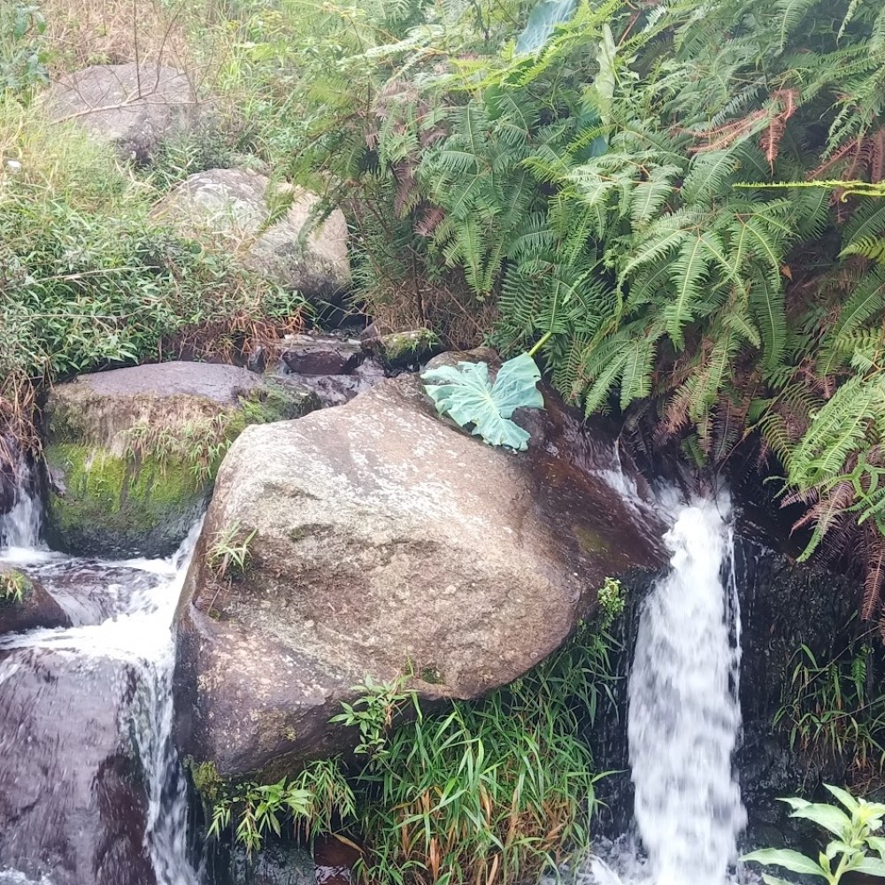 Curug leutik