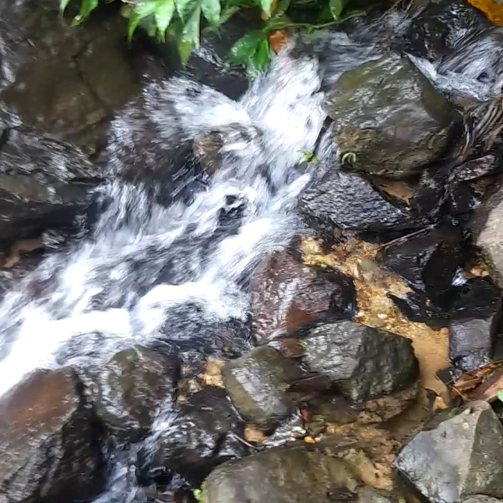 Curug buleud