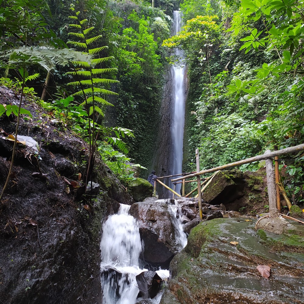 Curug Cibogo, TNGGP