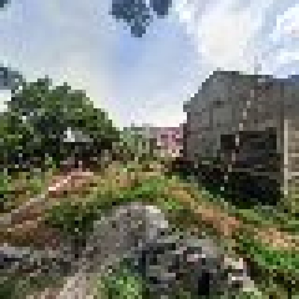 Rumah RMD