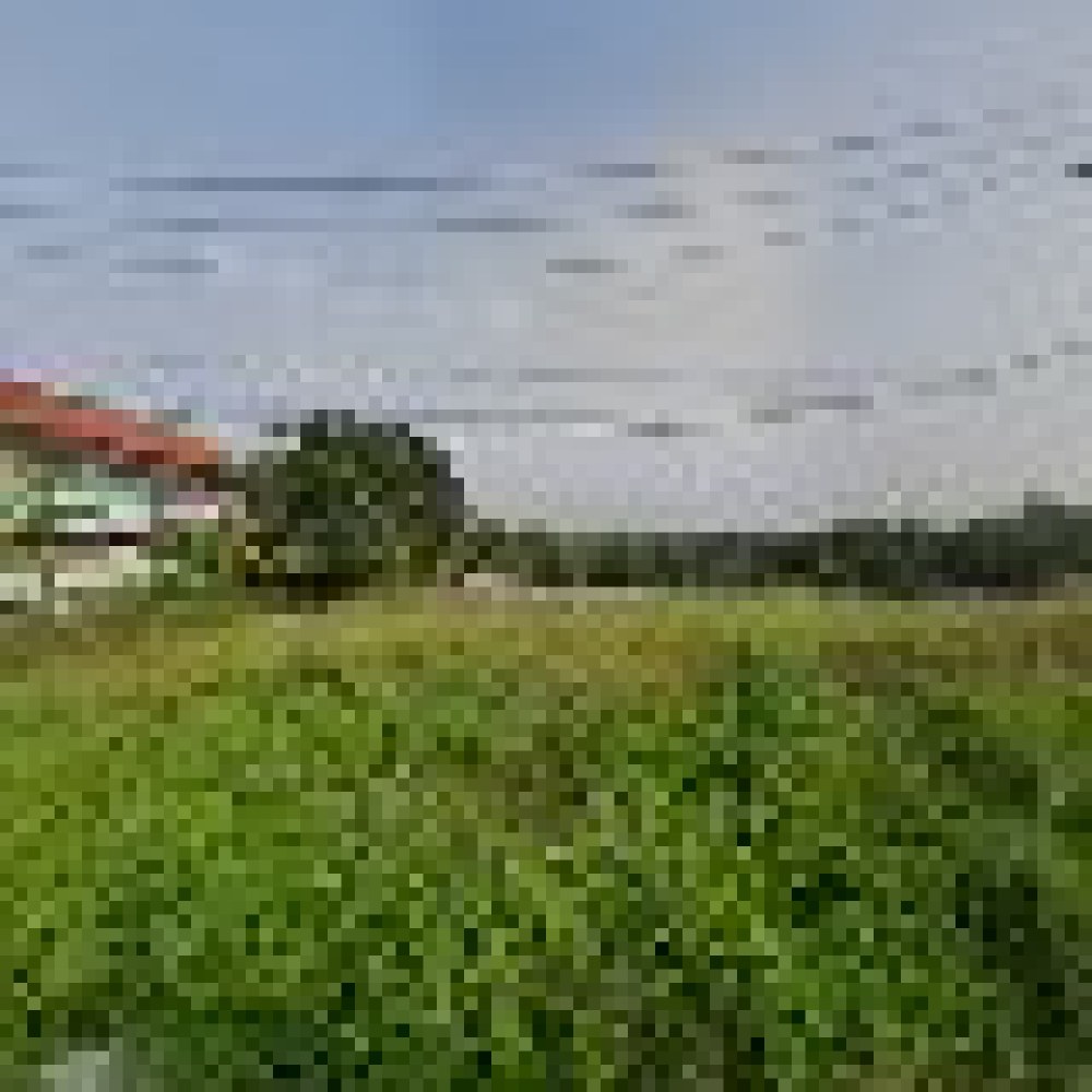 Situs Batu Dempet