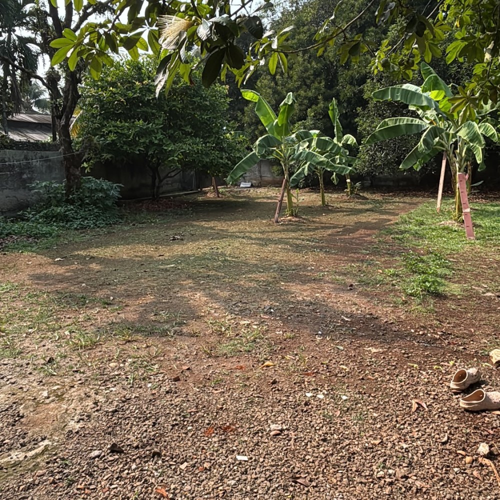 Sinaga Farm