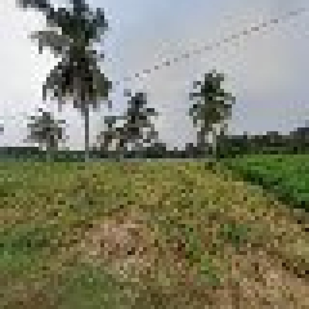 AG