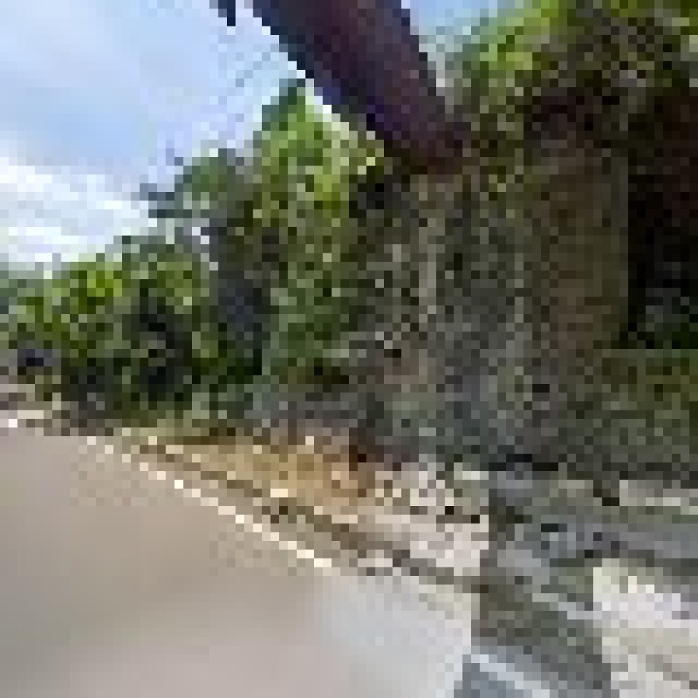talang 3