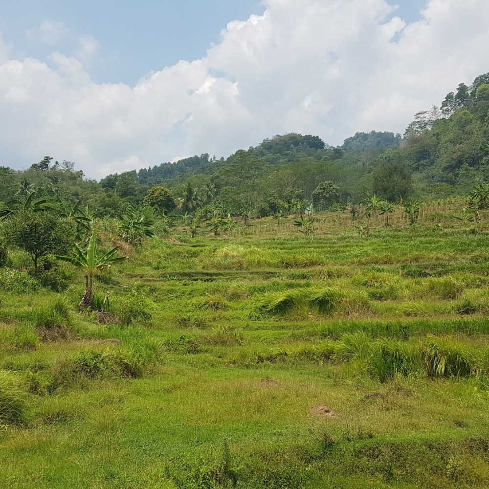 Situs Sumur Batu Jonggol