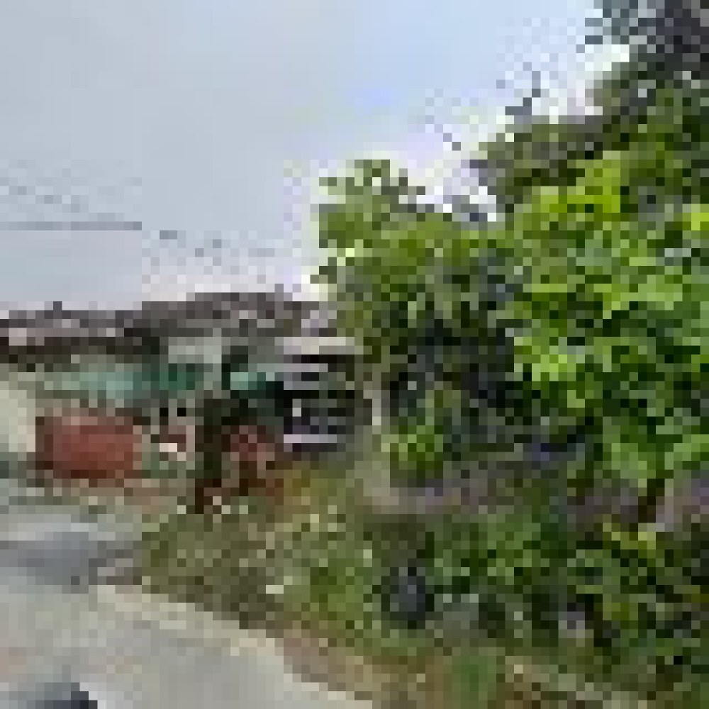Rumah Sulfi