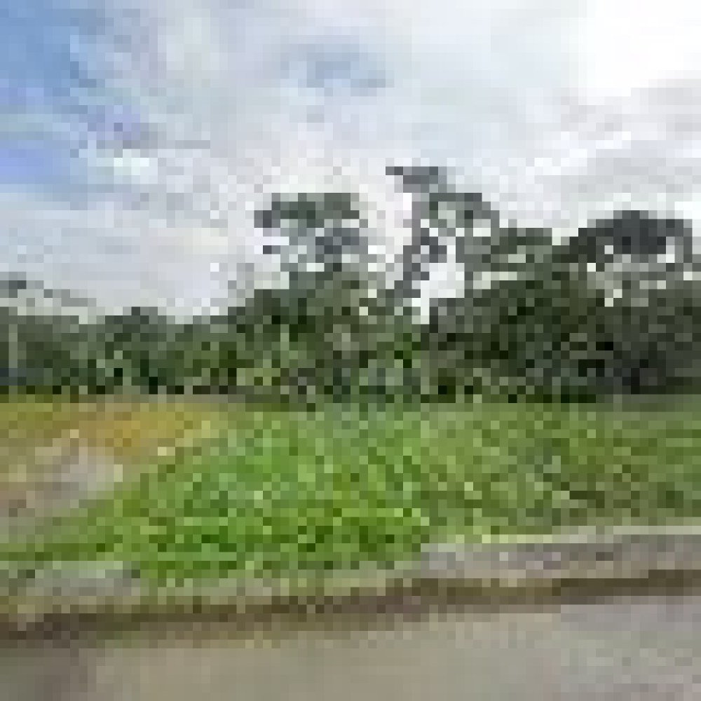 Kampung Pramuka Banjarwangi
