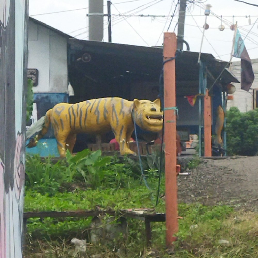 Harimau Malaya
