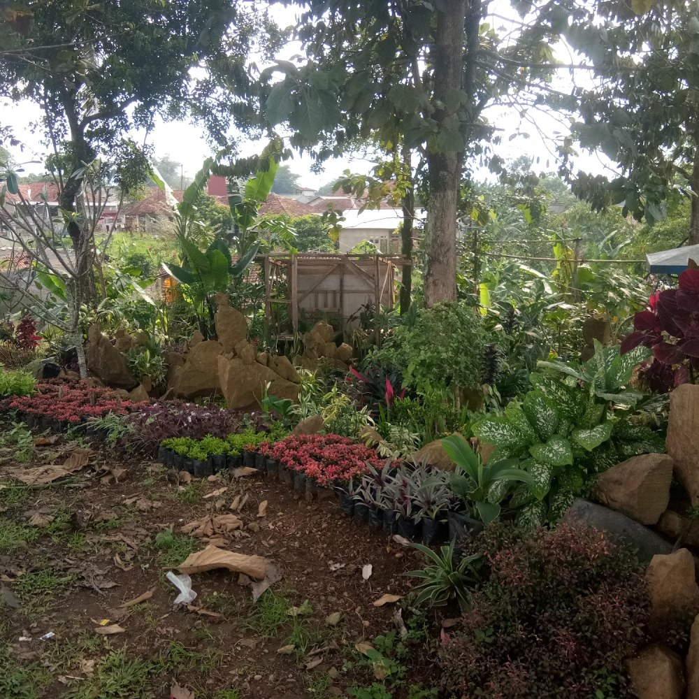 Taman gunung batu jajar manik sokalima