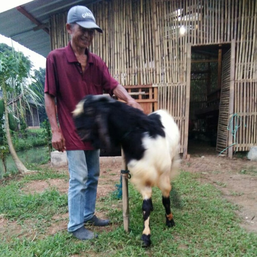 Sumber