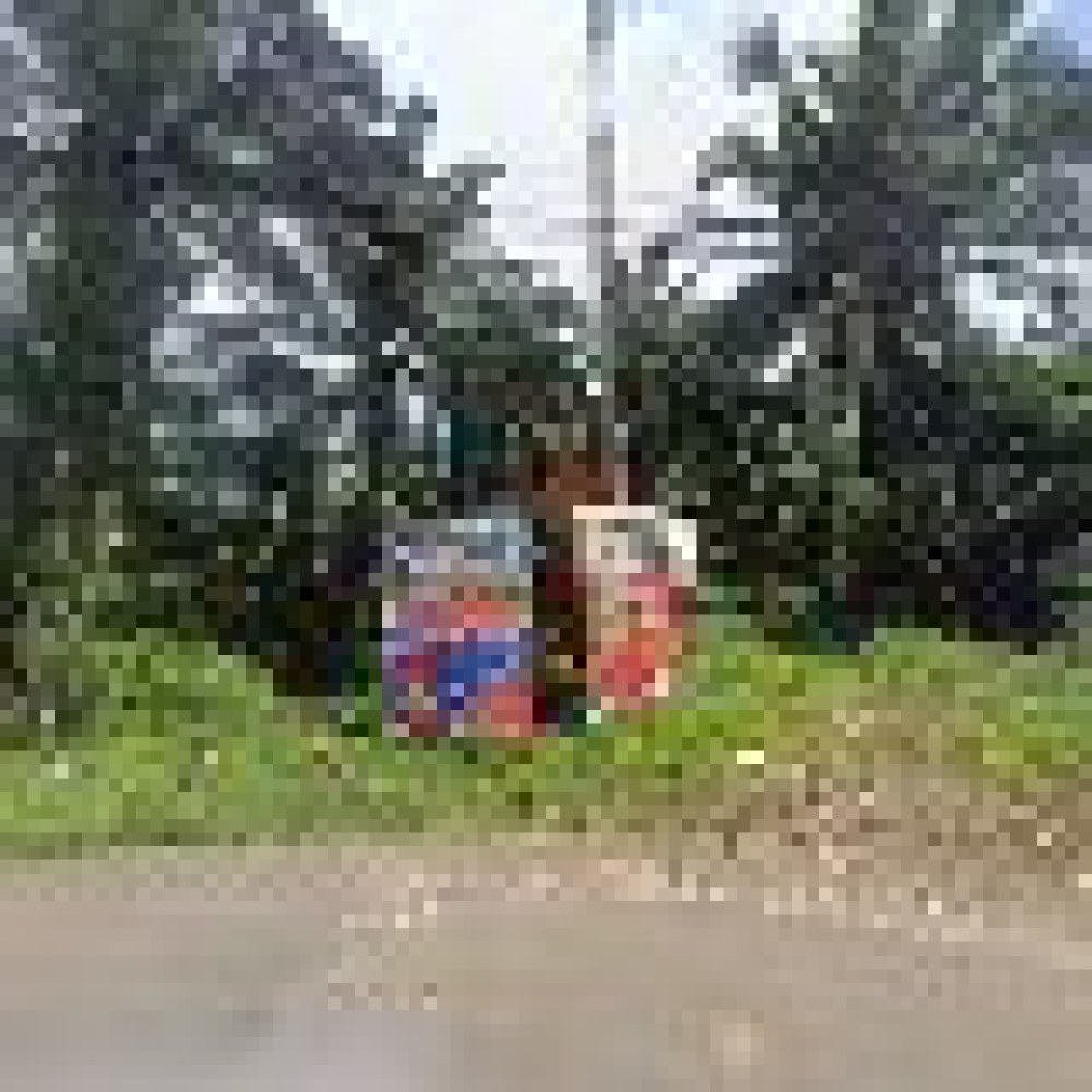 Kp Tangseng
