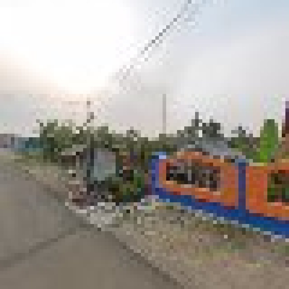 Opi di gonggo