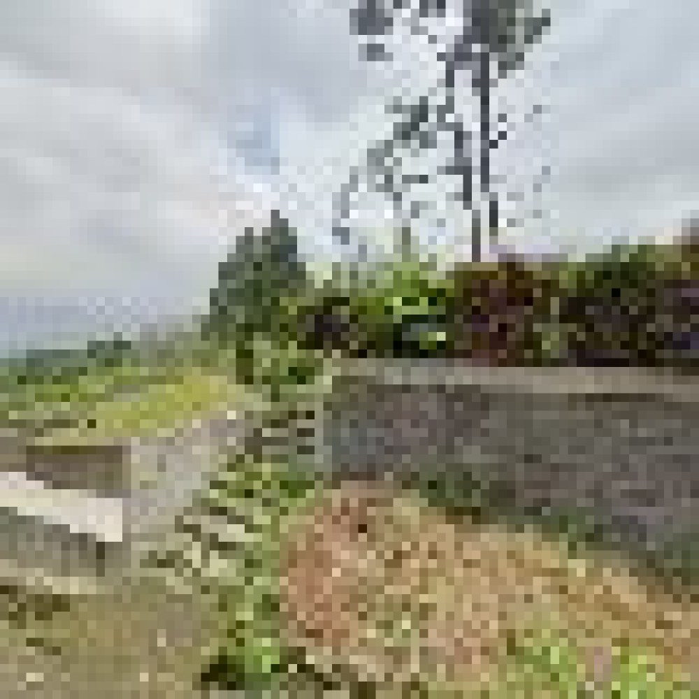 Makam Zhong Gong2 & Po2