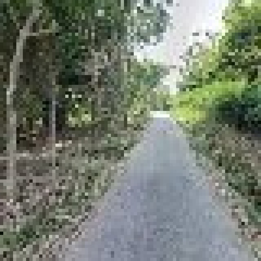 Tanah Wa Fatimah