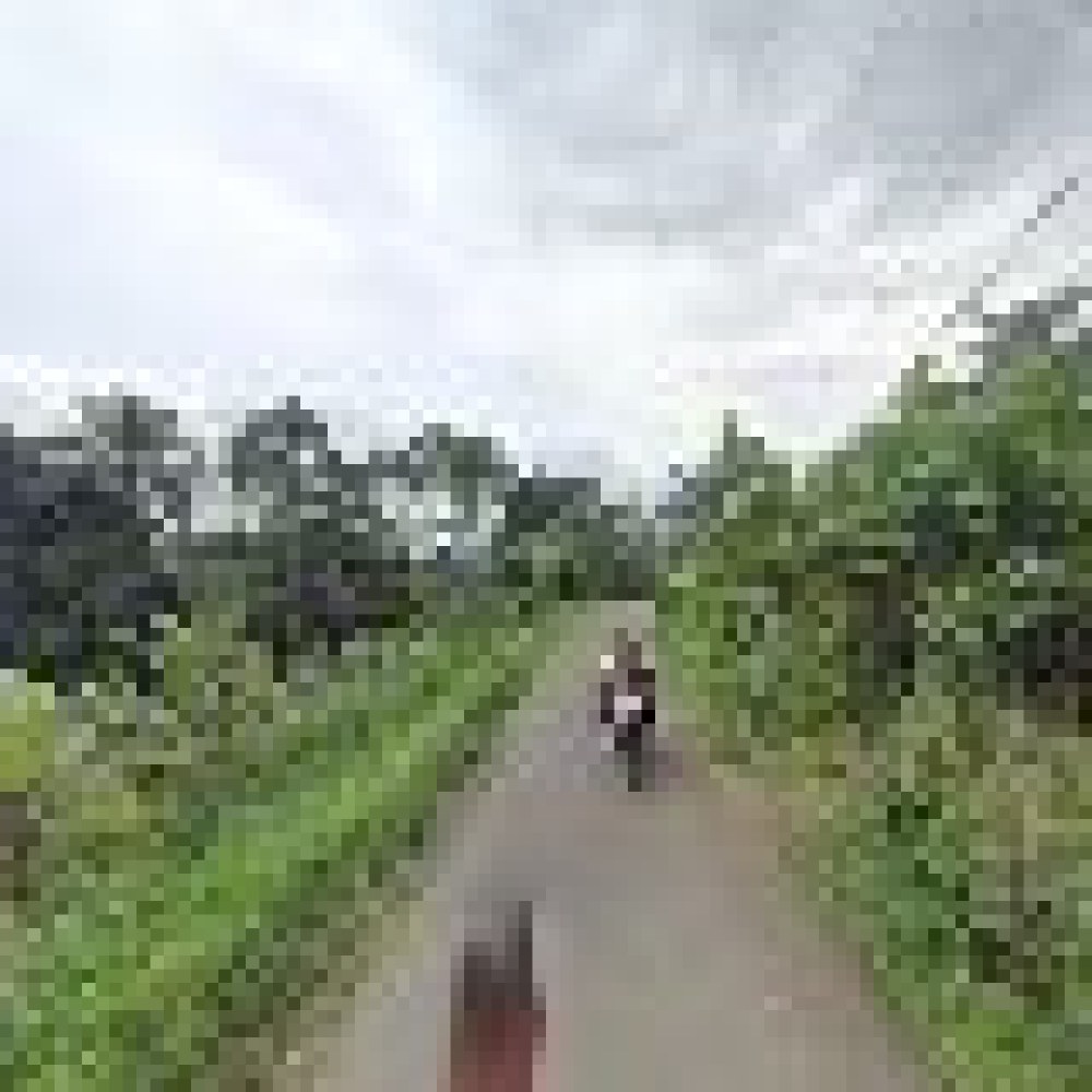 Padepokan goparana
