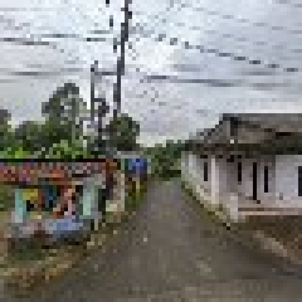 Kebon