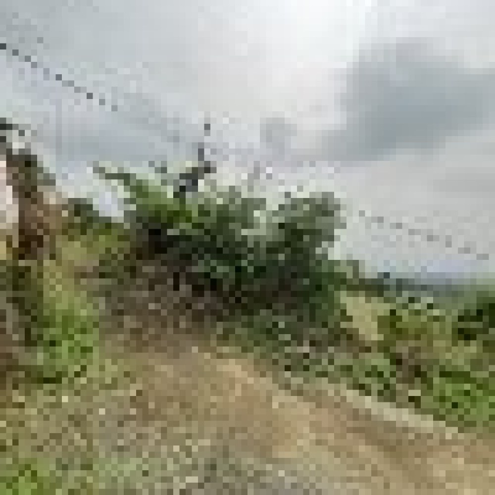 Vila Laras Kesa