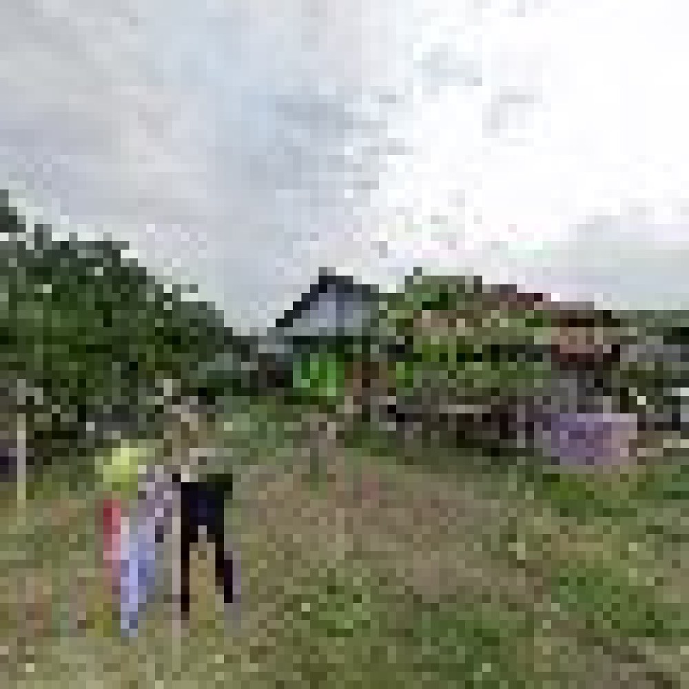 Rumah suminta / riki