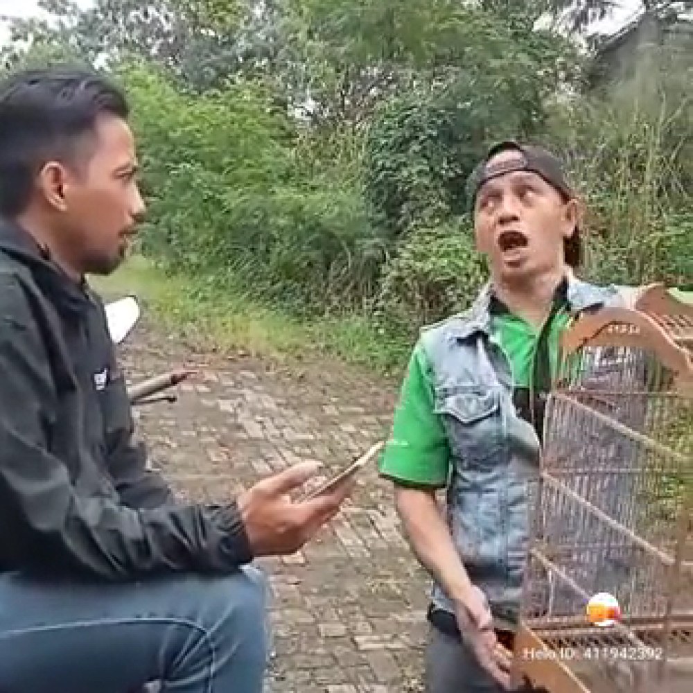 Brjbebatas