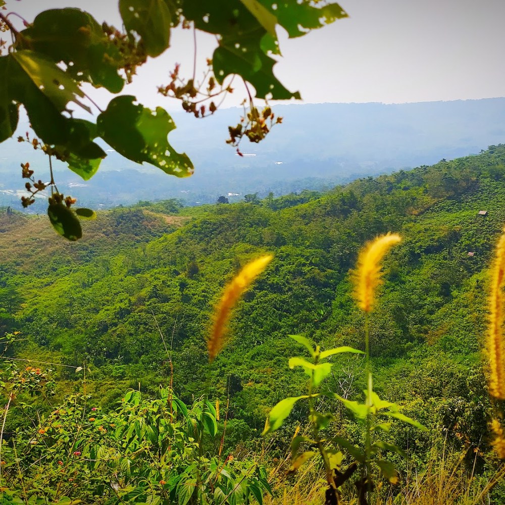 Goa Tawanan, Bogor Timur